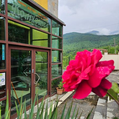 Family Hotel Komhotel Berkovitsa Eksteriør billede