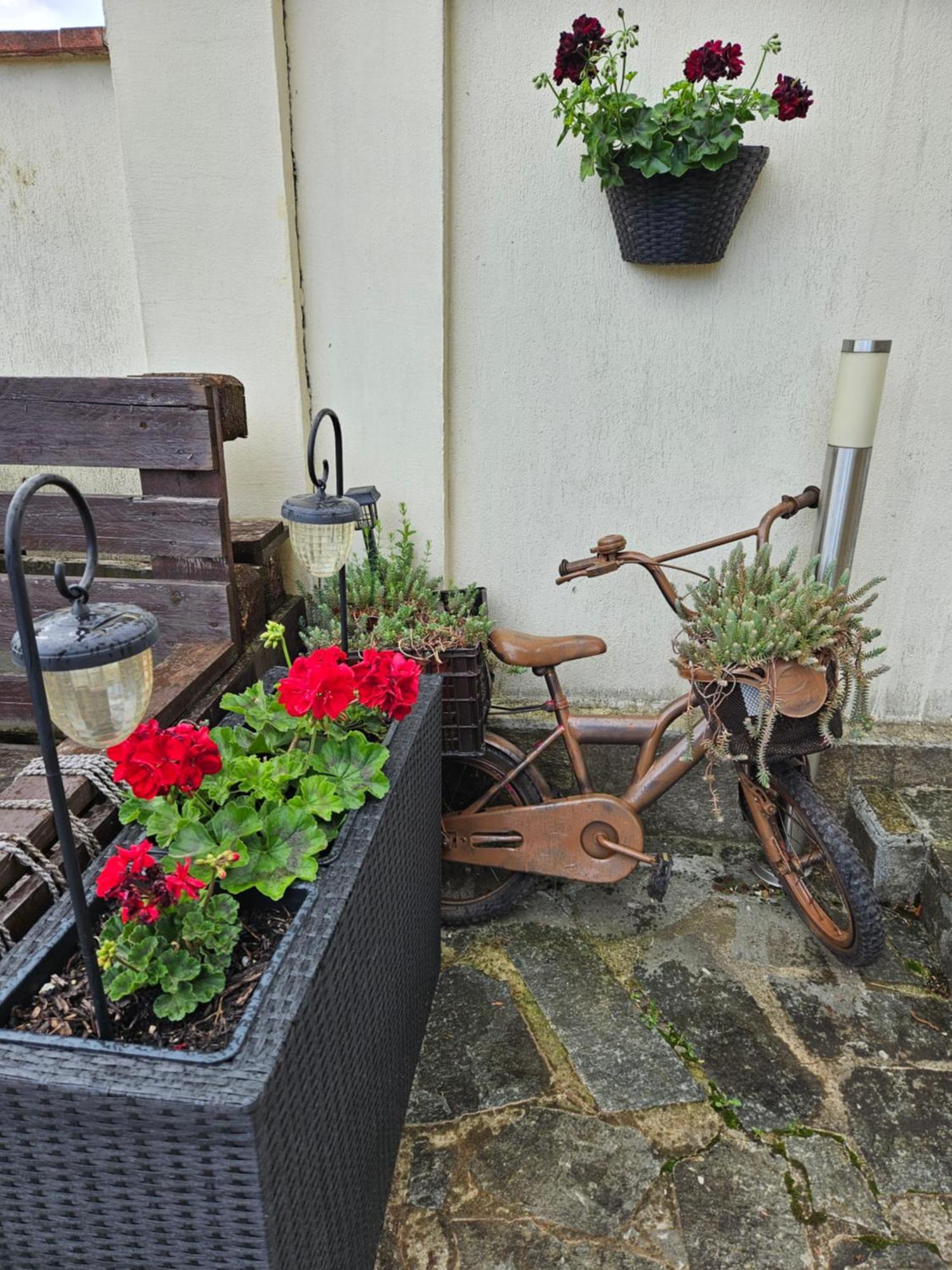 Family Hotel Komhotel Berkovitsa Eksteriør billede